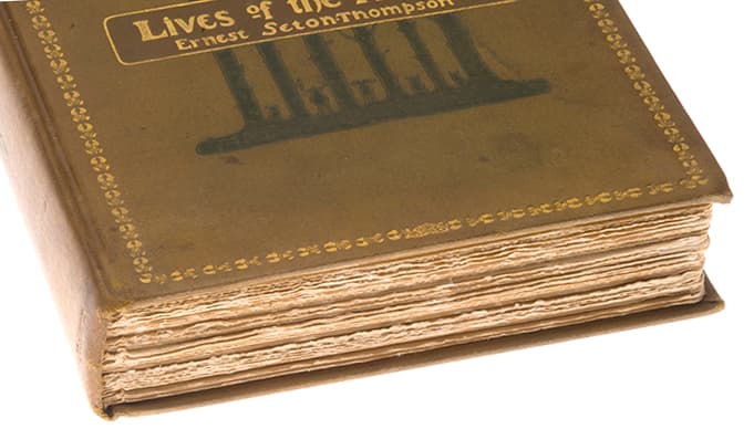 LIVES OF THE HUNTED E SETON-THOMPSON 1901 SCRIBNERS 1ST ED